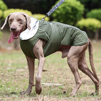 Reflektierende Hundejacke mit hohem Kragen