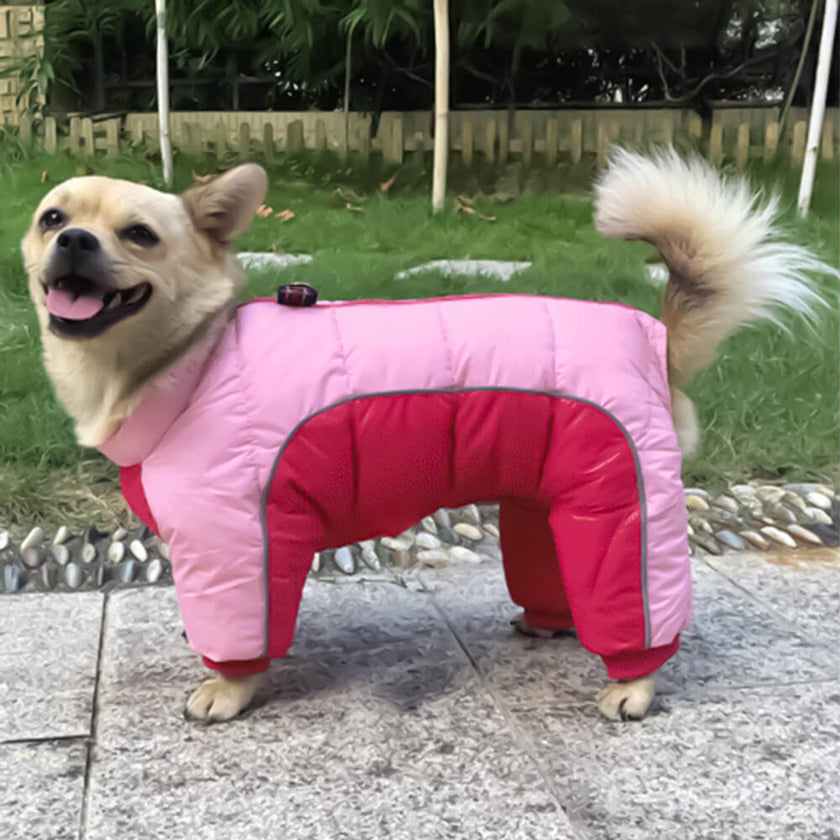 All-Weather Reflective Dog Coat