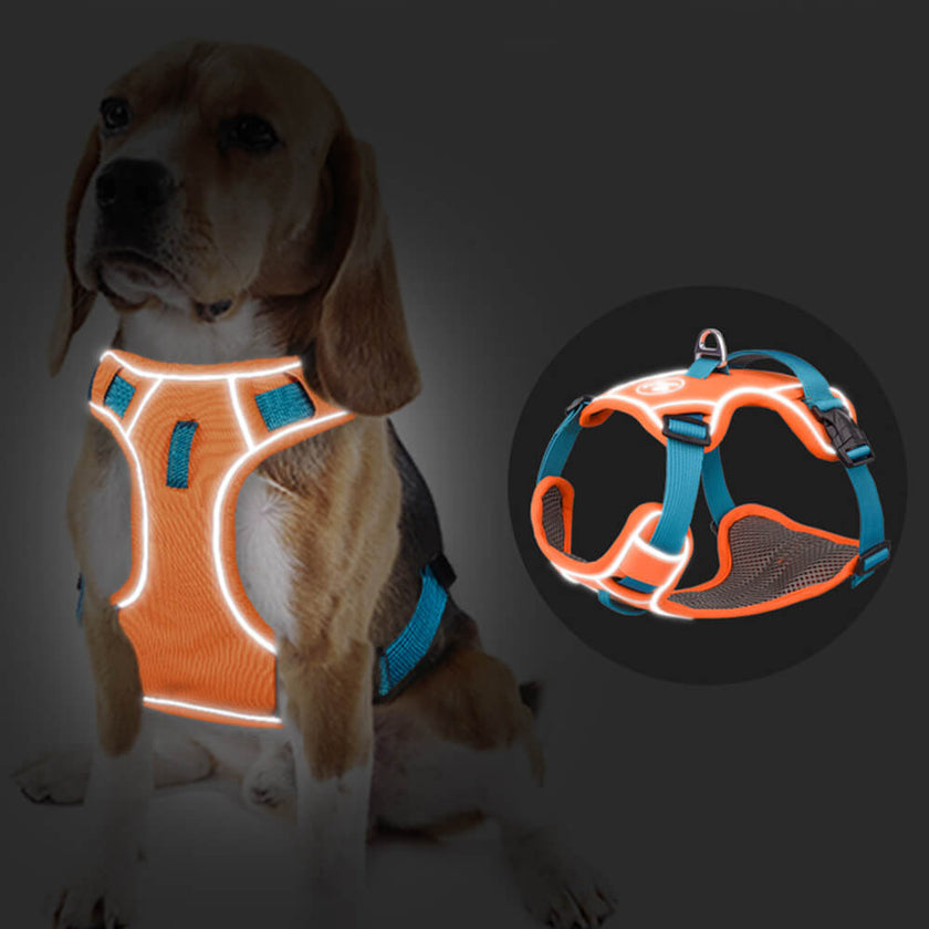 Adore Paws Reflective Dog Harness