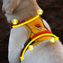 Adore Paws Reflective Dog Harness