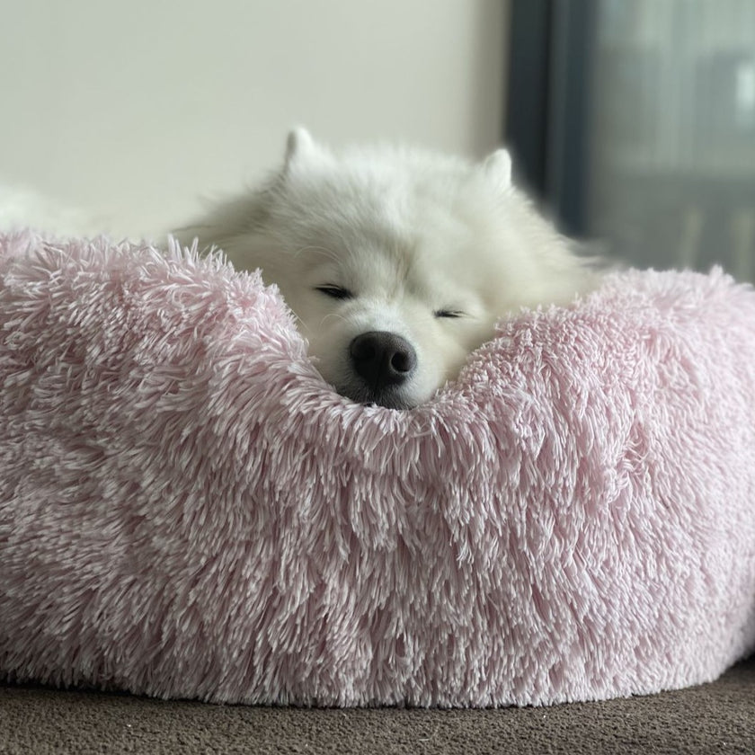 Calming Pet Bed