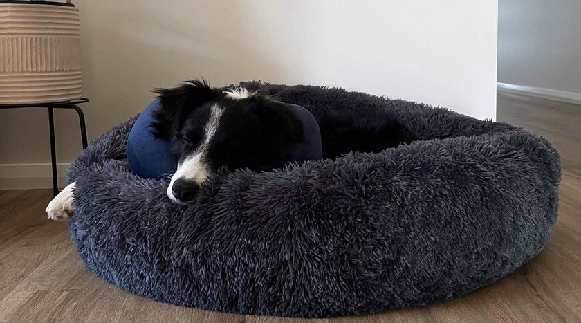 Calming Pet Bed