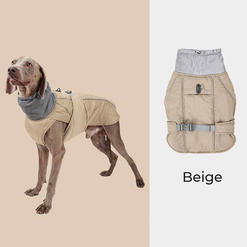 Reflektierende Hundejacke mit hohem Kragen