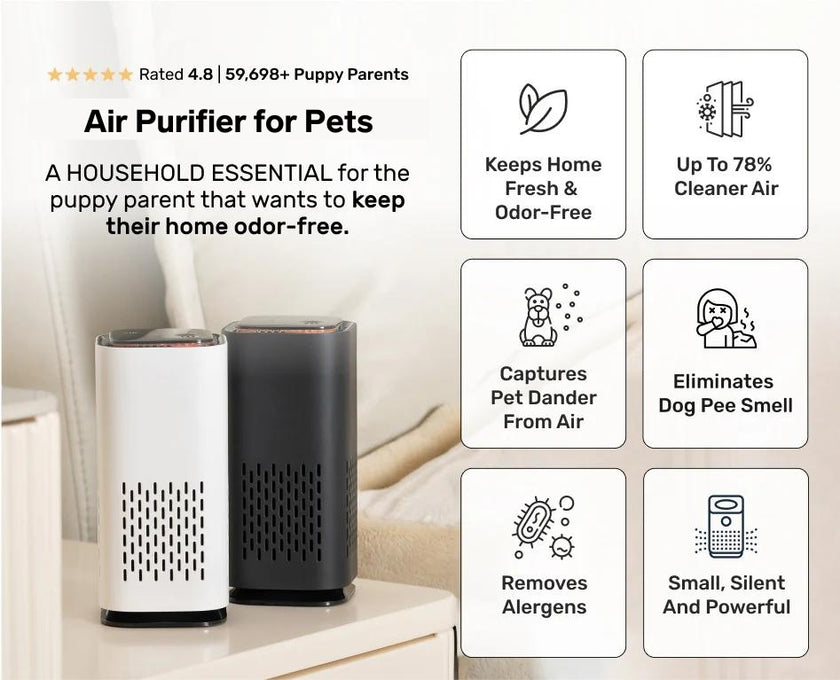 Air Purifier for Pets