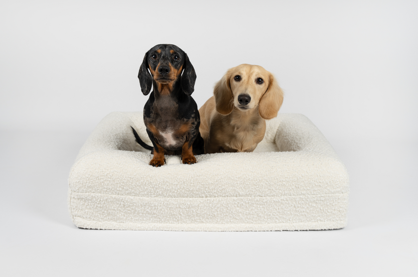 Boucle Luxury Pet Bed - Ivory