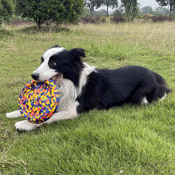 Camo Chew-Resistant Dog Toy