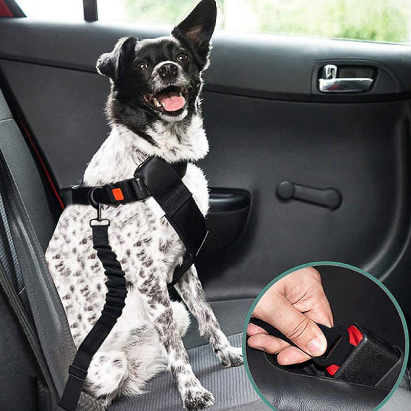 Adjustable Dog Car Seat Belt