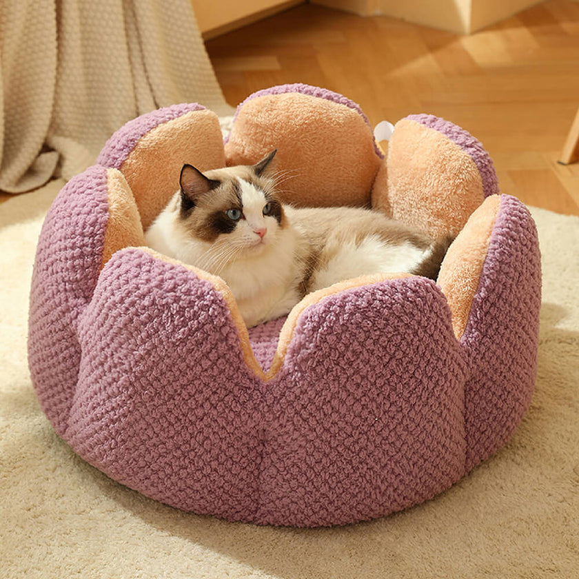 Cactus-Shaped Pet Bed