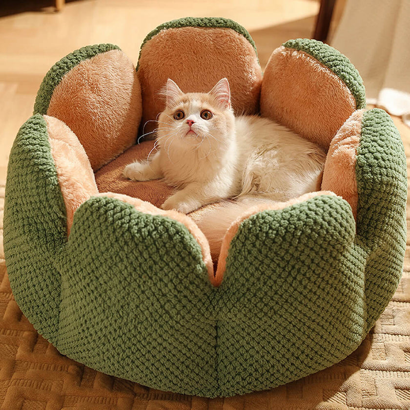 Cactus-Shaped Pet Bed