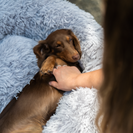 Calming Pet Bed