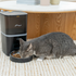 Automatic Pet Feeder