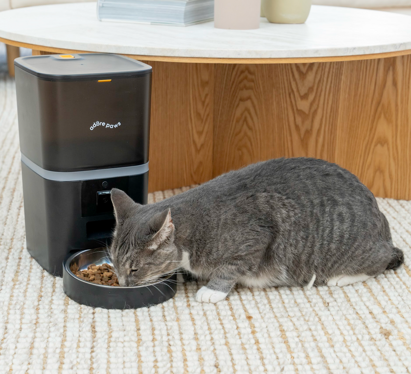 Automatic Pet Feeder