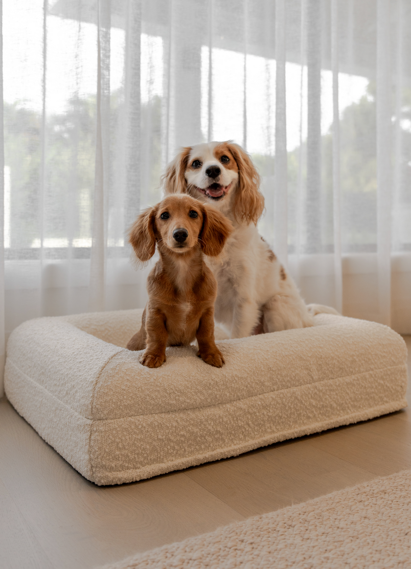 Boucle Luxury Pet Bed - Ivory