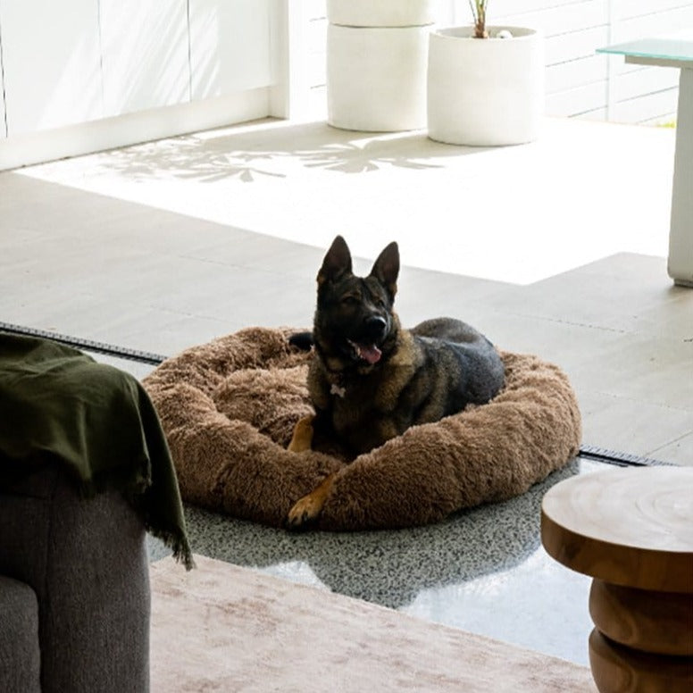 Calming Pet Bed