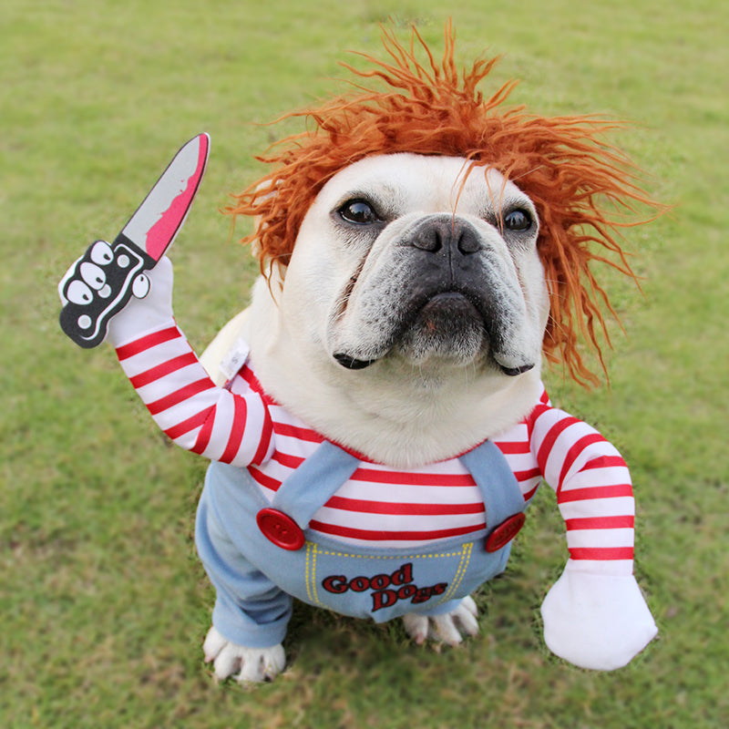 Verrücktes Chucky Hundekostüm