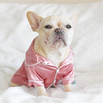 Adorable Dog Pajamas