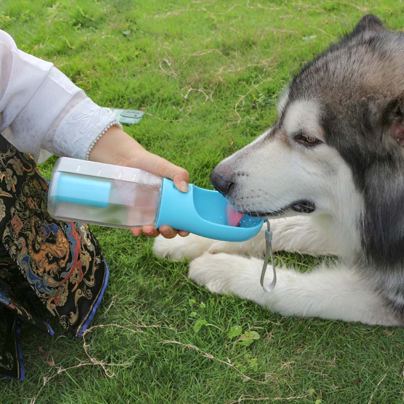 3-in-1-Flasche zum Spazierengehen mit dem Hund